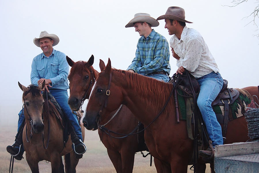 Deseret Ranches Of Florida Cattle Deseret Ranches Of Florida Cattle